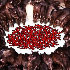 Bacterial Lawn - Musophobic Entombment