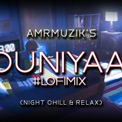 Duniyaa Lofi |Bollywood lofi | But you're still chasing her | Midnight Relax & Chill | Amrmuzik