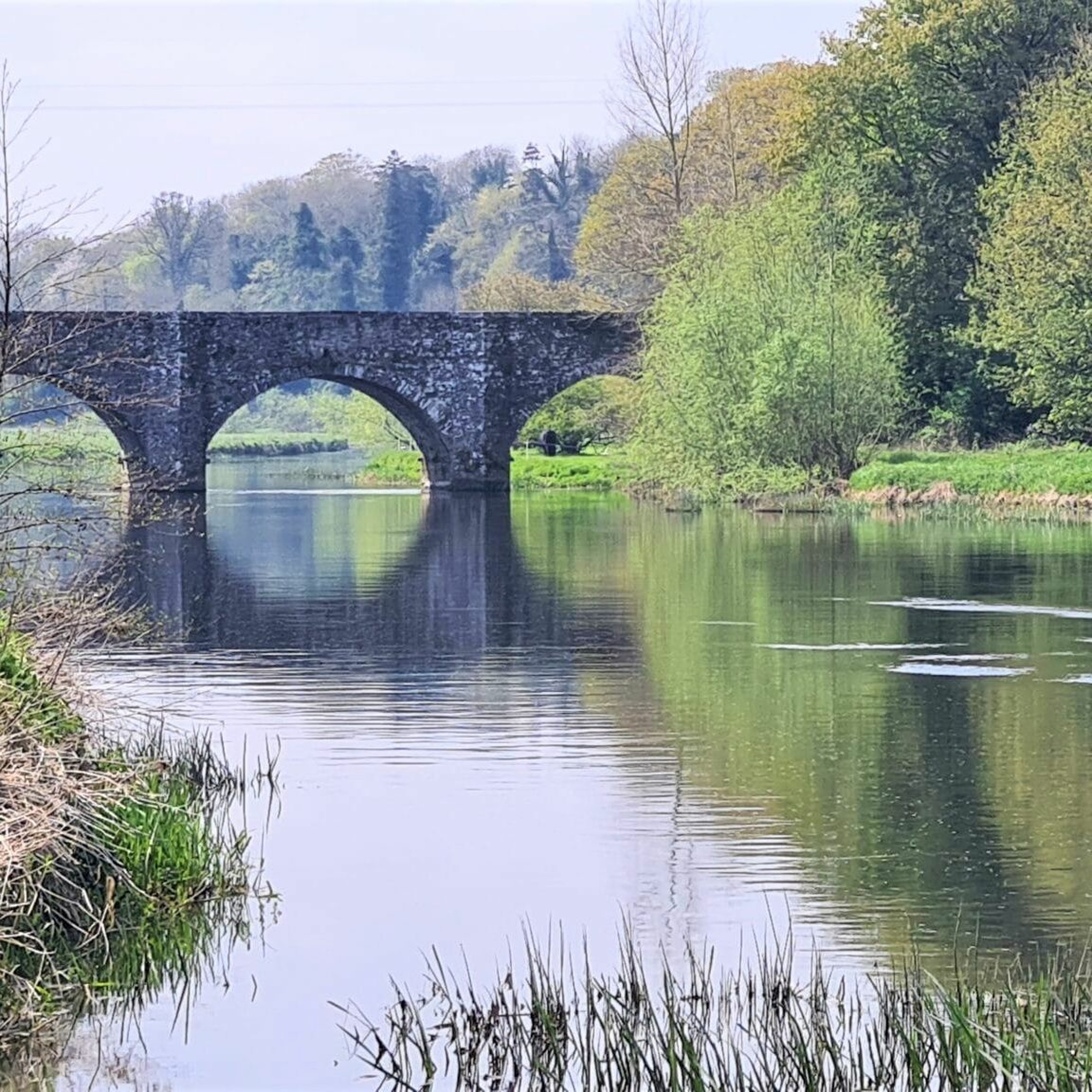 Peche en irlande