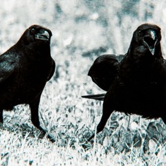 The Reason Why I Need You