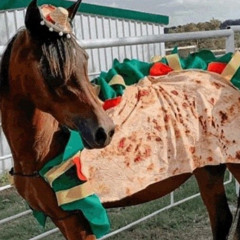 DJ Hest - Taco Party (Djentrik Bootleg)