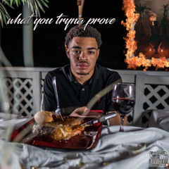 Breezyo - What You Tryna Prove (official audio)