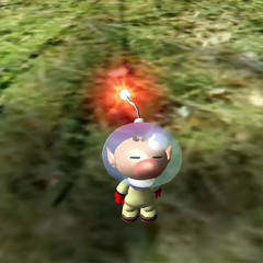 Those Who Directed This Journey - Pikmin