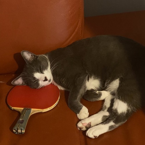 Jouons à Mancala (May 2023)