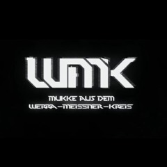 190 Stimmen in meinem Kopf(WMK Promo setcut)