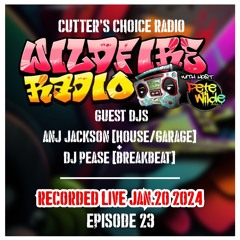 Wildfire Radio Show #23 [Guest DJs Anj Jackson & DJ Pease]