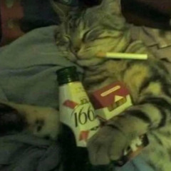 miley cyrus - party in the usa (pluggnb flip)