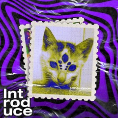 Introduce