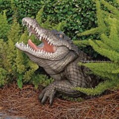 Swamp Romp