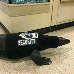 Sengoku Basara 3 OST - 17. Magoichi Saika's theme