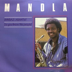Mandla - Get Together (1987, Teal Sound)