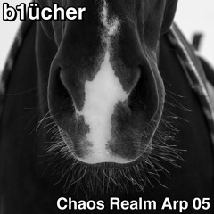 Chaos Realm Arp 05