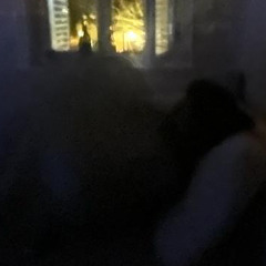 kanepenin altinda akustik