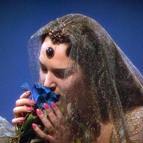 يا عاشقة الورد - زكي ناصيف