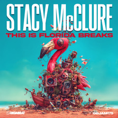 This is Florida Breaks