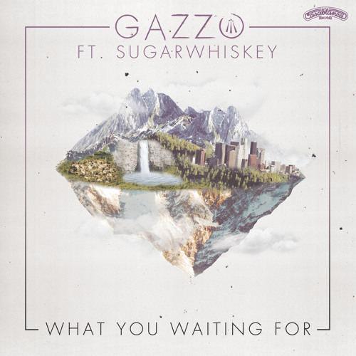 What You Waiting For (feat. SUGARWHISKEY)