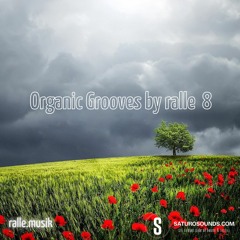 Organic Grooves By Ralle 08