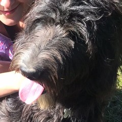 k cidder B2B iulia @K3 [sunrise @ the chateau]