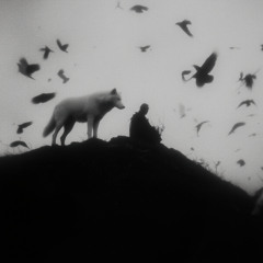 why couldn't you stay