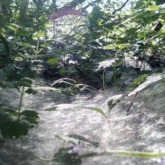 Jungleset for Luise (Made by Kikke)