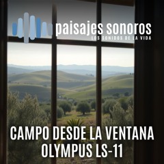 Ambiente de Campo desde mi Casa [Olympus LS-11, Primo EM60]