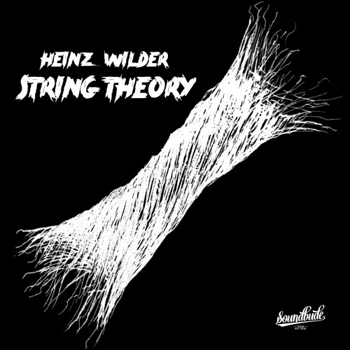 Heinz Wilder - String Theory (Original Mix)