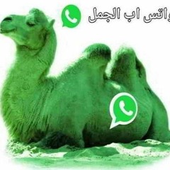 ITX FRIDAY X LIL POPS