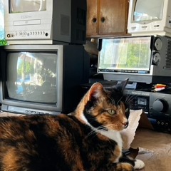 2024 - 03 - 14 1h15m33