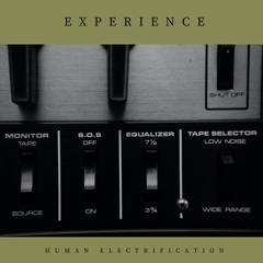 Experience