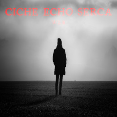 Ciche echo serca