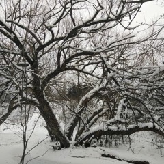 Frigid Reminders [2022 Remaster] DEMO ft. Eleanor Forte AI