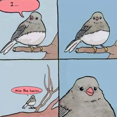 I'm not OK(Arpe Diem)