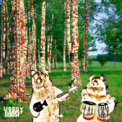 Budulёni kardamon