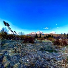 Croaking Symphony (for Rolando)