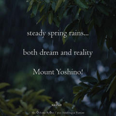 Steady Spring Rains (naviarhaiku591)