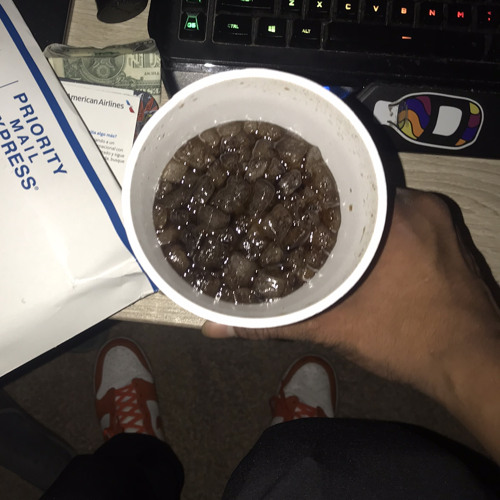 $NOTHXRZIP (FREESTYLE)