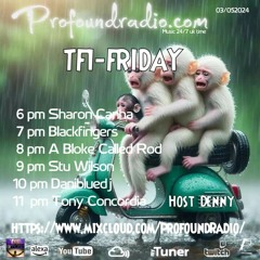 #143 Profound Radio  Deep House  @djstuwilson