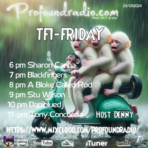 #143 Profound Radio  Deep House  @djstuwilson