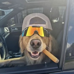 CHASE THE SUN - TurboKevin Speedup