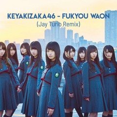 Keyakizaka46 欅坂46 - Fukyou Waon 不協和音(Jay Turio Remix)