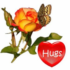 эльбрус - бродяга  (alomi flip)