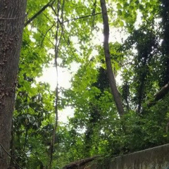 Ben Bankroll - Survival Kit (Prod. Elibanss)