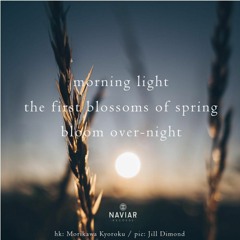 OneAmbient4 - Morning Light (Naviarhaiku 367)