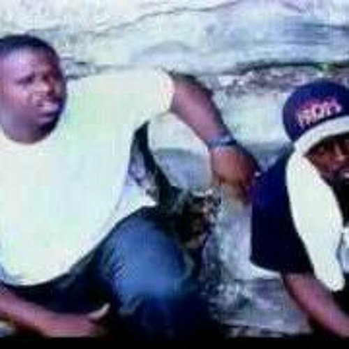 VX-1000 (Home Edition -Demo)