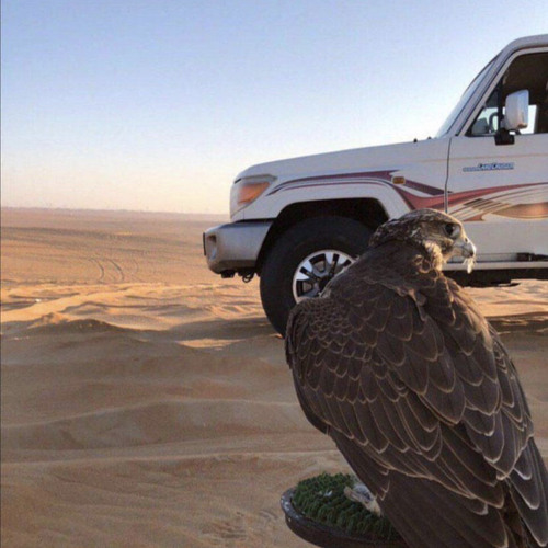 ليه في درب الهوى يا اغلى الحبايب صرت جاير ؟