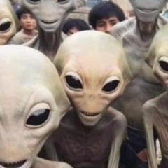 VoxBox-In the heart of Rott-2023-04-08.wav