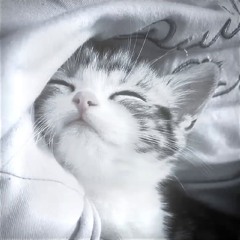 Giận Mà Thương (Duy Đông Remix) - Nguyen Trong Nghia