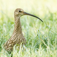 This Place - 01:06:2022, 15.00