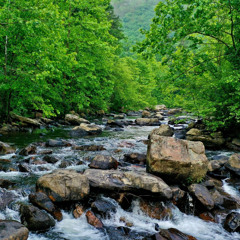 Stream