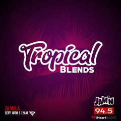 TROPICAL BLENDZ DJ MULA & DJ 4EIGN 9.10